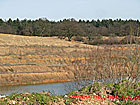 Quarried area - on the opposite of the excavation are trees