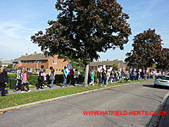 Section of the march along Cavendish Way seen from Feather Dell