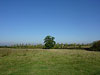 Hilltop - middle oak thumbnail