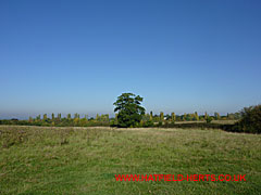 Opposite view - looking towards the New Barnfield end