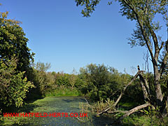 View of Little Bunchleys Pond