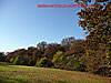 autumn at the high pasture - thumbnail