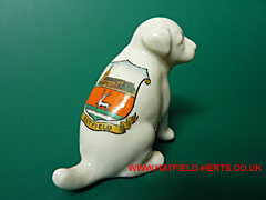 Grafton white Crested China dog with Hatfield crest