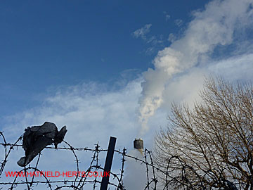 View from across a neighbouring fence