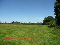 Another view of the field bordering the Southfields School