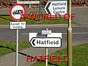 Image link to World of Hatfield feature